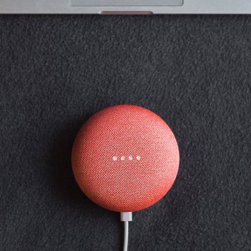 Google Home Mini [Attributes & Options]