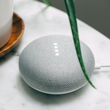 Google Home Mini [Attributes & Options]